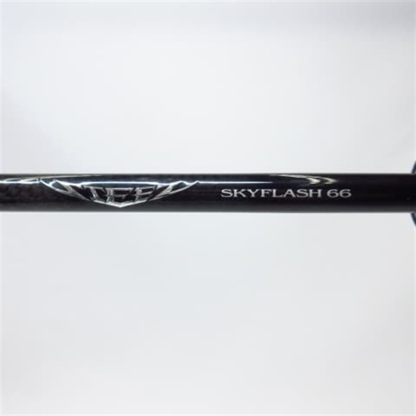 ２１スティーズＳ６６Ｌ